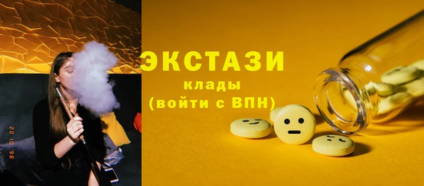 мет Ельня