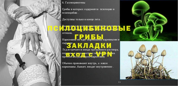 молекула духа Дмитров