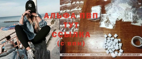 молекула духа Дмитров