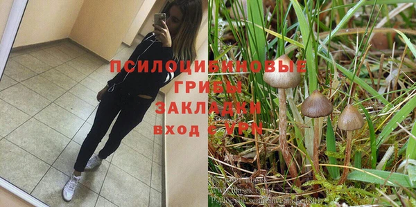 MESCALINE Дмитриев