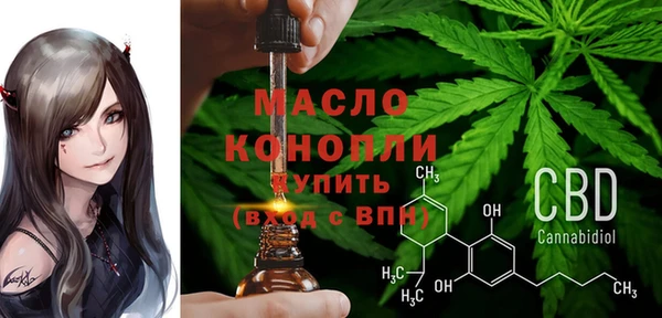 молекула духа Дмитров