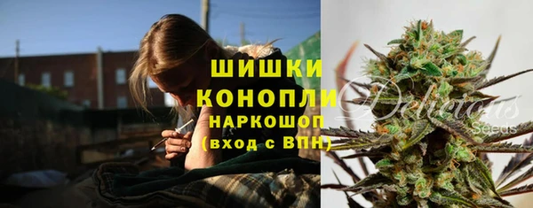 дживик Елабуга