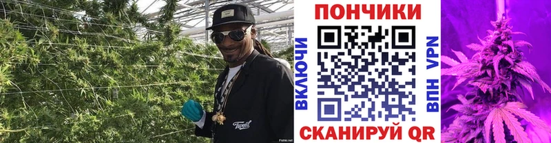 Купить где  Покров  Каннабис MAZAR 